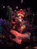 IMG_9380.jpeg