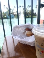 IMG_9496.jpeg