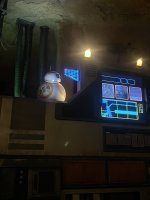 IMG_9501.jpeg