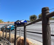 IMG_7685.jpeg