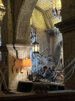IMG_9529.jpeg