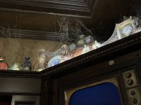 IMG_9531.jpeg