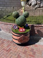 IMG_7699.jpeg