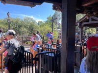 IMG_7711.jpeg