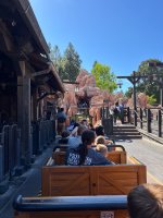 IMG_7714.jpeg