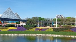 IMG_20250221_110105779.jpg