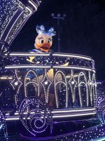 IMG_9478.jpeg