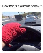 IMG_0731.jpeg