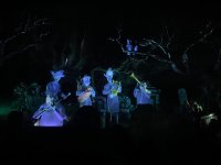 IMG_7504.jpeg