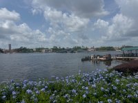 IMG_3437.jpeg