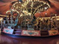 IMG_20250729_113743.jpg