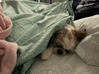 IMG_0625.jpeg