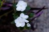 DSC_0967_DxO.jpg