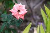 DSC_0919_DxO.jpg
