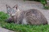 DSC_0937_DxO.jpg