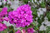 DSC_0745_DxO.jpg