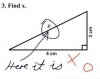 hilarious-test-answers8.jpg
