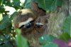 mothers-day-cute-animals-91.jpg
