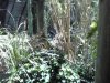 Picture0869.jpg