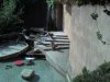 Picture0880.jpg