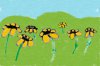 flowers.jpg