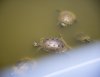 DSC_1127.jpg