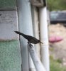DSC_1162.jpg
