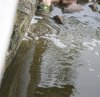 DSC_1163.jpg