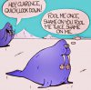 walrus.jpg