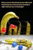 bananas.jpg