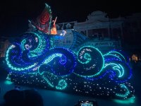 IMG_5830.jpeg