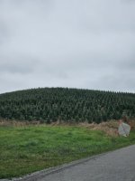 IMG-20250805-WA0003.jpg