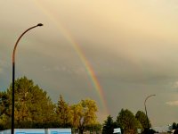 IMG_7852.jpeg