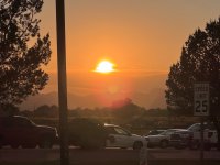 IMG_7854.jpeg