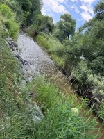 IMG_7860.jpeg