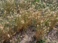 IMG_7858.jpeg