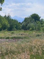 IMG_7864.jpeg