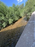 IMG_7863.jpeg