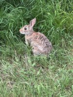 IMG_7868.jpeg