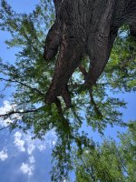 IMG_7896.jpeg