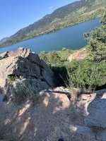 IMG_7910.jpeg