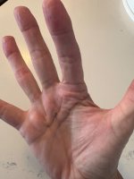 IMG_0187.jpeg