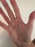 IMG_0186.jpeg