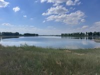 IMG_8001.jpeg