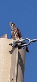 IMG_8013.jpeg