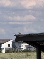 IMG_8016.jpeg