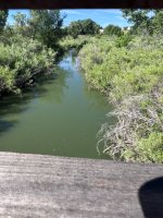 IMG_8047.jpeg