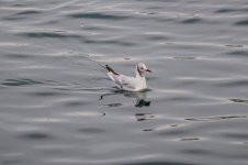 IMG_7974.jpg