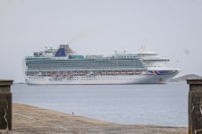 IMG_7991.jpg