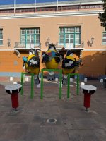 IMG_9277.jpeg